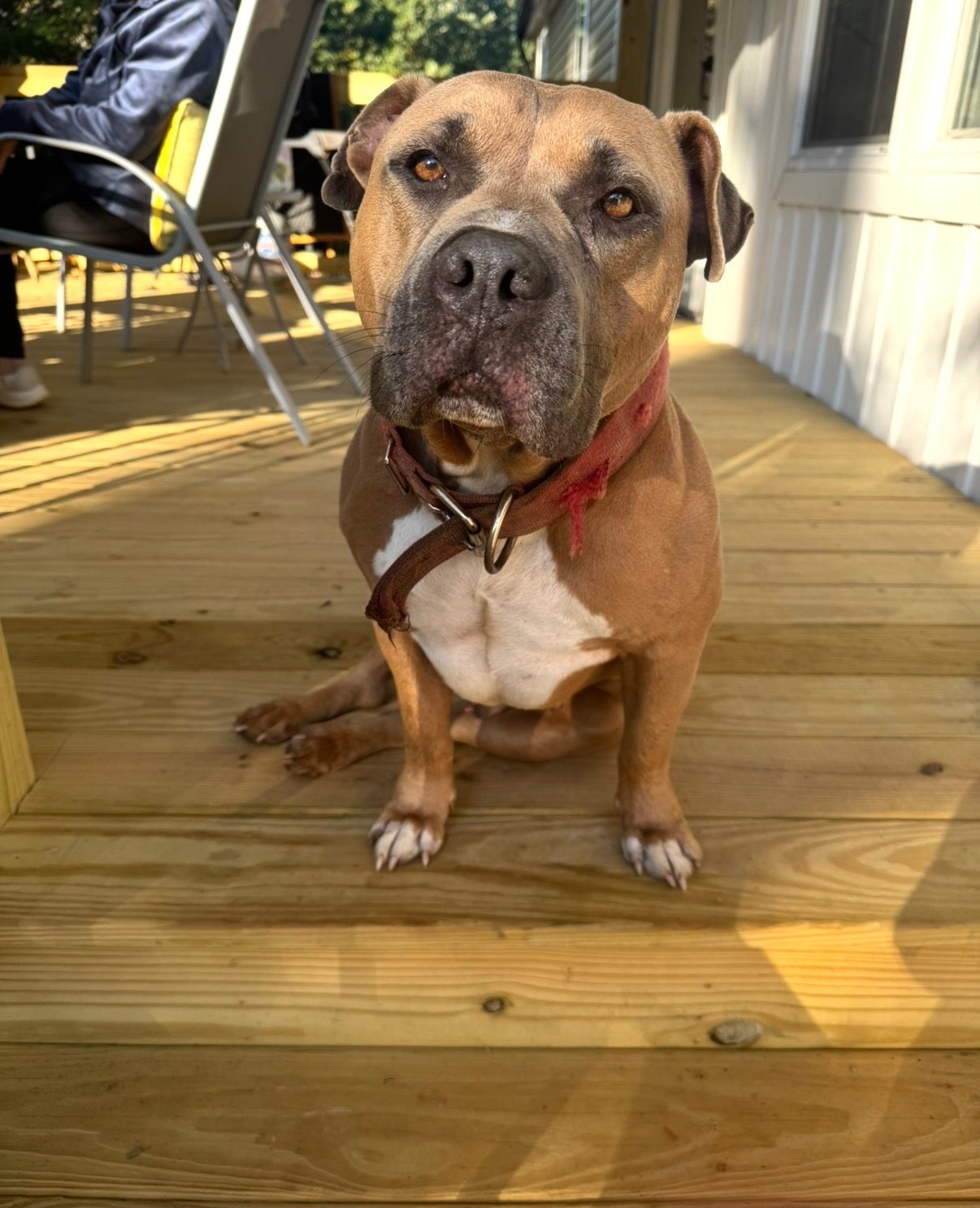 Big Boy